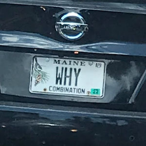 Meet your Posher, Ellie